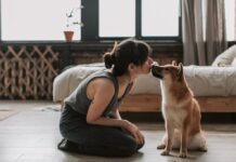Au-delà des aboiements : les chiens peuvent-ils comprendre les mots humains ? Au-delà des aboiements : les chiens peuvent-ils comprendre les mots humains ?