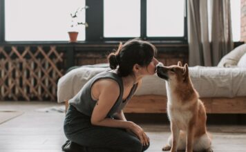 Au-delà des aboiements : les chiens peuvent-ils comprendre les mots humains ? Au-delà des aboiements : les chiens peuvent-ils comprendre les mots humains ?