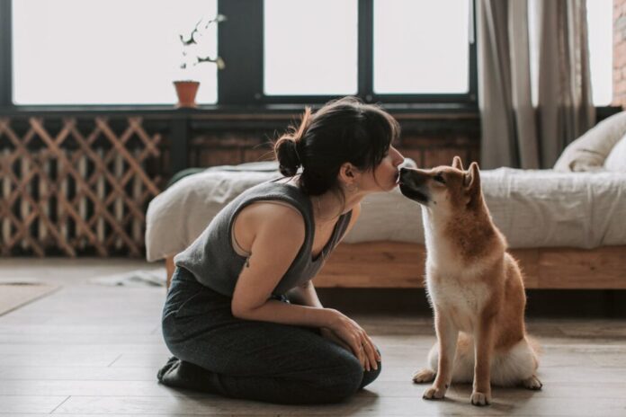 Au-delà des aboiements : les chiens peuvent-ils comprendre les mots humains ?